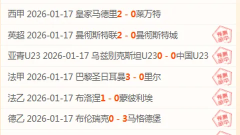 斯内德蓝黑生涯里程碑：首球制胜，绝杀乌迪内斯！